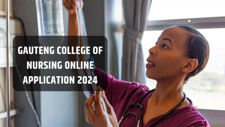 gauteng college of nursing online application 2024